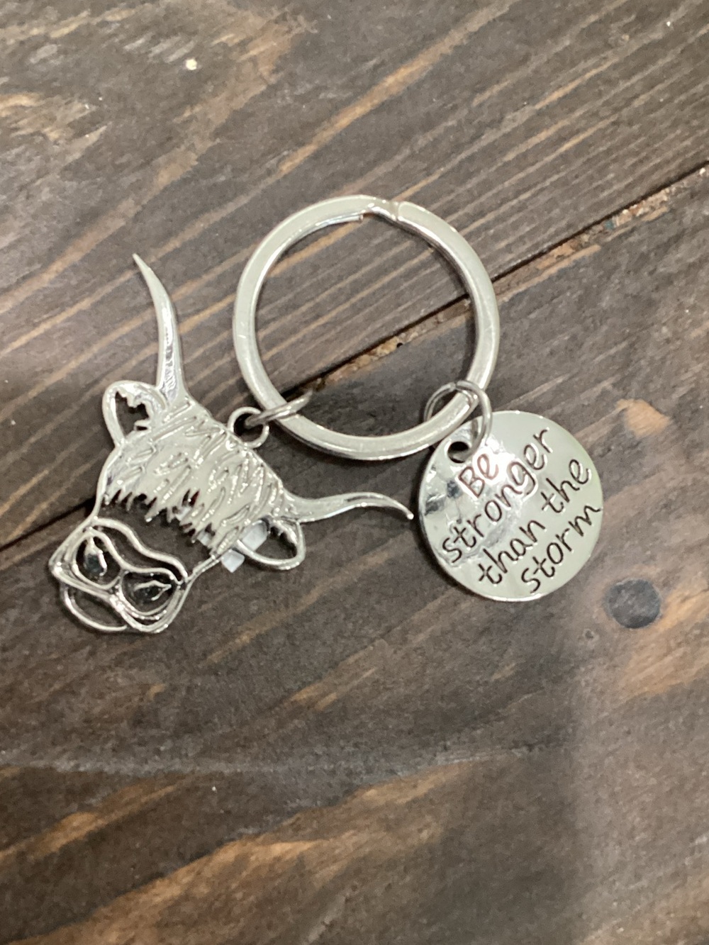 Silver Bull Charm Keychain with Inspirational Disc